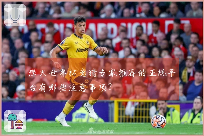 烽火世界杯竞猜专家推荐的正规平台有哪些注意事项?